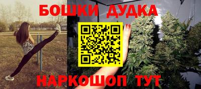 прущие крисы Лесосибирск