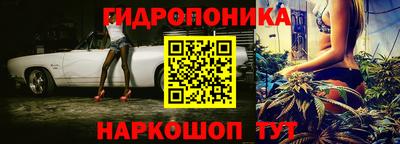 прущие крисы Лесосибирск